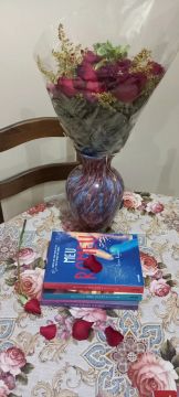 Livros da série Meu Romeu