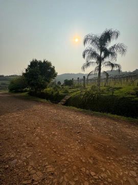 Área de terra 24 há- Sítio - Frederico Westphalen - RS
