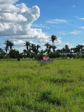 Fazenda com 1 dormitório à venda, 14400000 m² por R$ 2.500.000,00 - Arari - Zona Rural - A