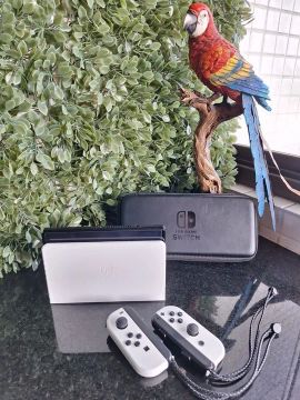Nintendo switch Oled 320gb