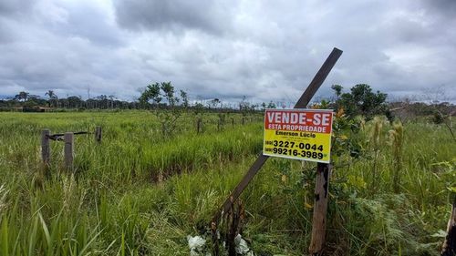 Vendo Ótimo Sítio, Super Barato a Apenas 82 KM de Porto Velho-RO