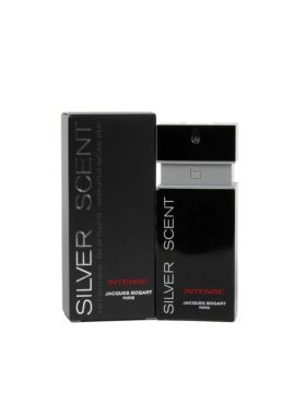 Perfume Silver Scent Intense 