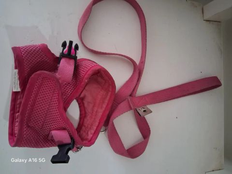 Coleira para Cachorro Rosa