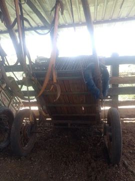Vendo 3 carroças+égua 