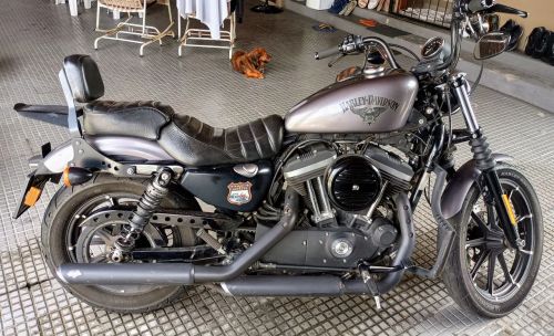 Harley Davidson 883 Iron