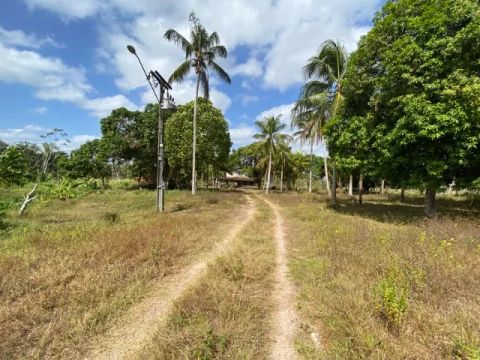 Área de 30 Hectares em Rosário - MA