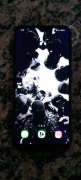 Celular Samsung Galaxy S30 FE 5G Preto