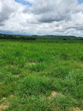 Lindo sítio há venda no Mato Grosso cidade de Peixoto de Azevedo 