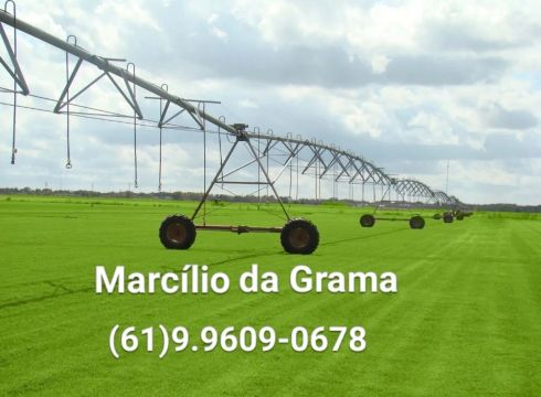 Grama Esmeralda, São Carlos, Batatais.