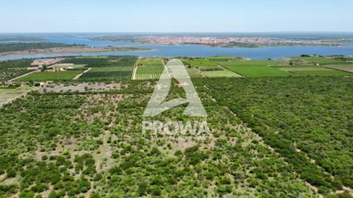 Fazenda as margens do lago de Sobradinho com 94,77 hectares, em Casa Nova-BA.