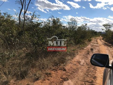 Fazenda, com 1.565 hectares em Cocos - BA ( ARRENDAMENTO soja)