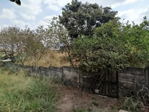 Br 381 /Betim - Galpão 
