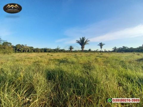 Sítio as margens do Rio Jamari em Itapuã do Oeste-RO