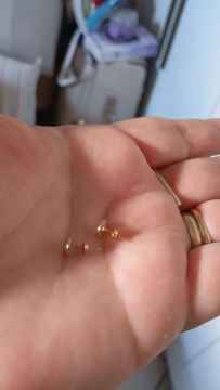 Brincos de Ouro 18k