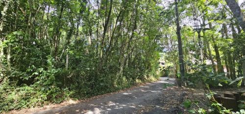 Terreno à venda na Lagoa da Conceição