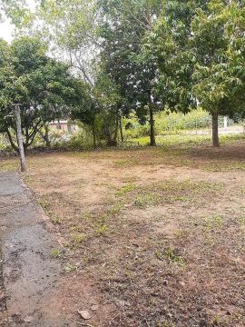 Terreno em Palmeiras 