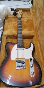 Guitarra Tagima promoção relâmpago 