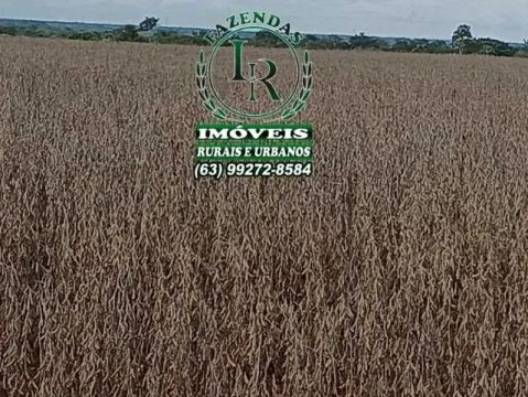 Fazenda Plantando 213 Alqueires