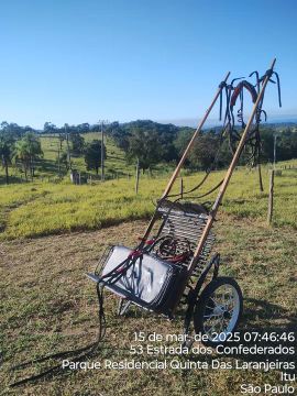 Vendo 