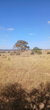 Fazenda Disponível pra Venda......No Estado de Goiás........No município de Luziania. Goiá