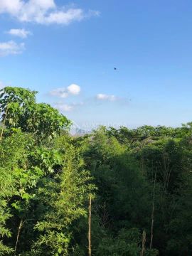 Terreno com vista para o Guaíba.