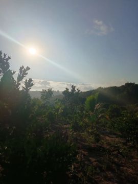 Oportunidade ! Lotes e tarefas na baixa de areia ( Catu ba )