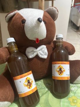 Mel 100% Natural - Produção Própria