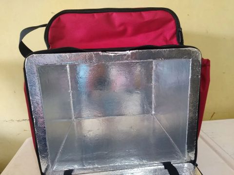 BAG Térmica Aluminizada