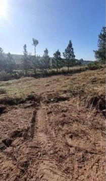 Oportunidade terreno na quadra 13 park Way 