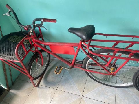 Bicicleta de Carga Vermelha