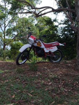 Dt 180