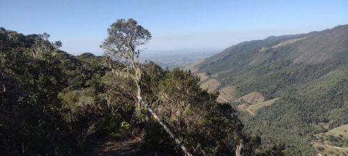 Fazenda de 422 hectares com Cachoeira e Casa Sede Luxuosa em Arapeí/SP