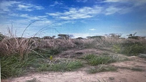 Terreno urbano com 10.000m², Alto Parnaíba - MA