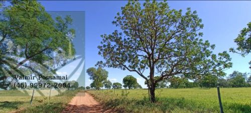 Fazenda em Amambai-Ms