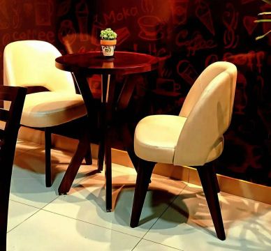 Conjunto de Cadeiras para café ou sala de Jantar - Estilo Moderno