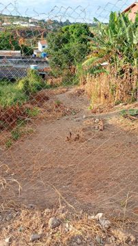 Lote em Esmeralda.Oportunidade.Com registro e Escritura.