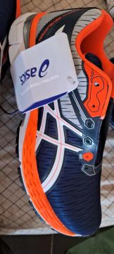 Oasics