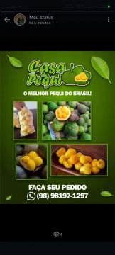 Pequi fresco e de qualidade - direto do produtor