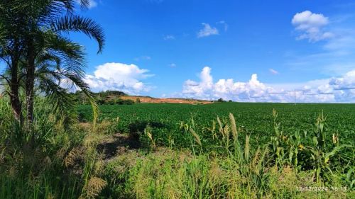 Vende-se sitio arrendado com 51,40 hectares com 45 plantando. 117 Km de Sinop.