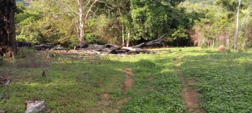 Fazenda para venda 52 km de Porto Nacional/TO