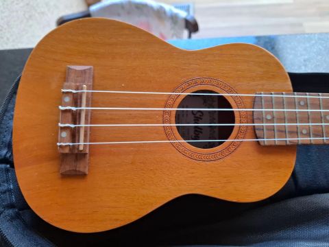 Ukulele ELÉTRICO Shelby + capa MEGA PROMOÇÃO