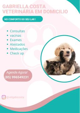 Consulta veterinária a domicílio 