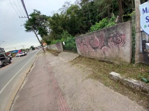 Terreno na geral do rio Tavares 
