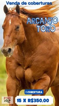 Cobertura Arcanjo Toro A venda 