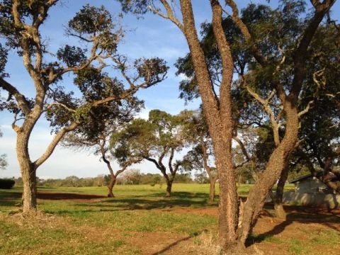 Lote de 1.100m2 no loteamento Riviera de Santa Cristina I, em Arandu - SP