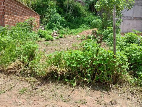 Terreno com área verde em local tranquilo