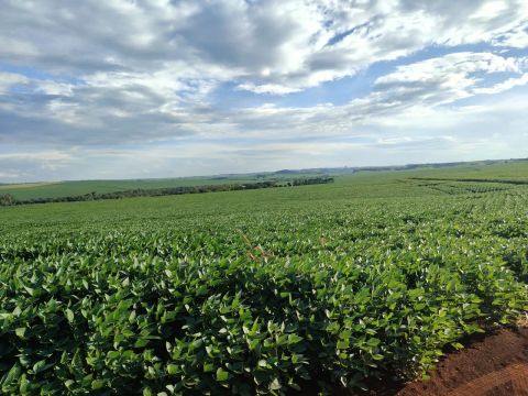 Fazenda  