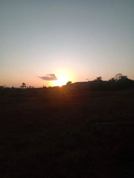 ARRENDAMENTO RURAL - Fazenda Coqueiro Alegre
