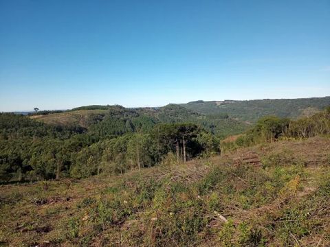 Sítio 3.2 hectares em Gramado