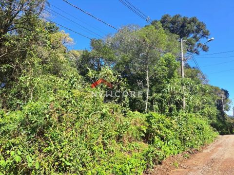 Lote em Rua São Gotardo - São Bernardo - São Francisco de Paula/RS